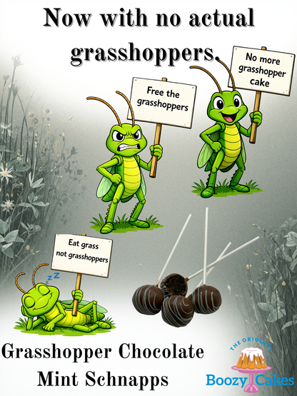 Chocolate Mint Schnapps Cake Pop